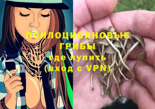 марки nbome Белокуриха