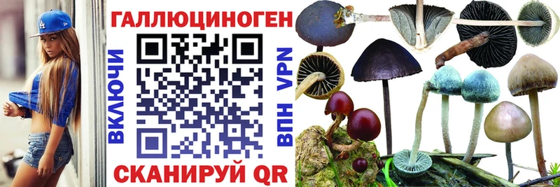 Купить где  Армянск  Псилоцибиновые грибы мицелий 